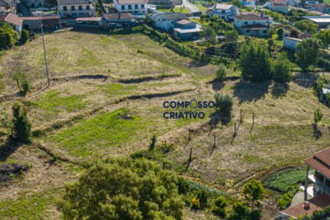 Terra a Longos, Braga, Longos - € 700.000 | Ref: 230120251 - foto 6